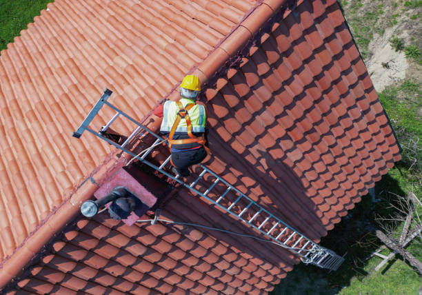 Best Slate Roofing  in Lakeview, MI